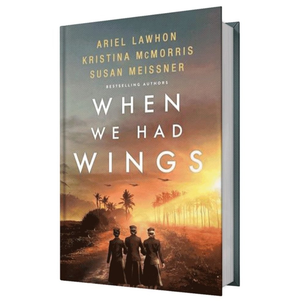 When We Had Wings, Hardcover